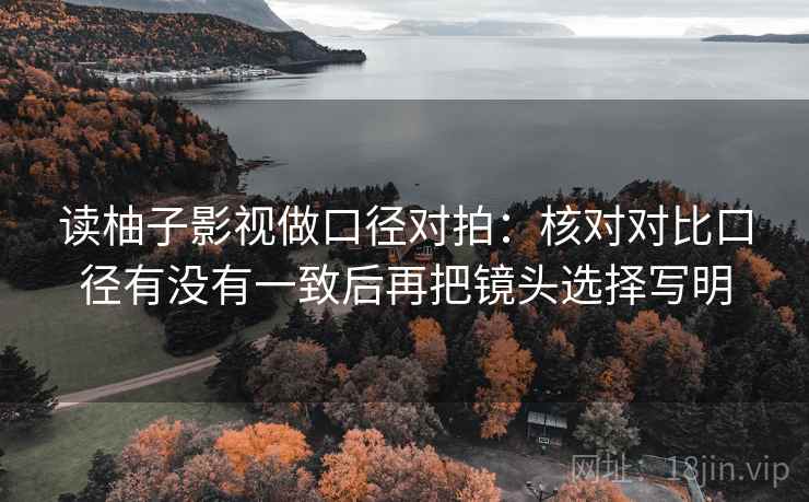 读柚子影视做口径对拍：核对对比口径有没有一致后再把镜头选择写明