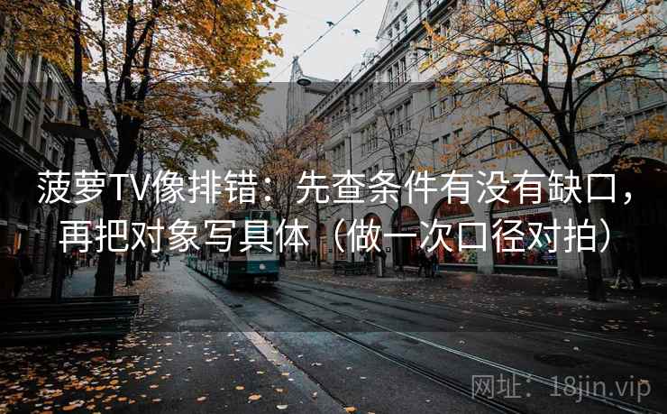 菠萝TV像排错：先查条件有没有缺口，再把对象写具体（做一次口径对拍）