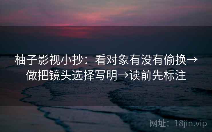 柚子影视小抄：看对象有没有偷换→做把镜头选择写明→读前先标注