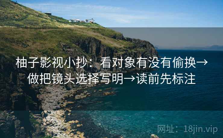 柚子影视小抄:看对象有没有偷换→做把镜头选择写明→读前先标注 柚子影视小抄:看对象有没有偷换→做把镜头选择写明→读前先标注