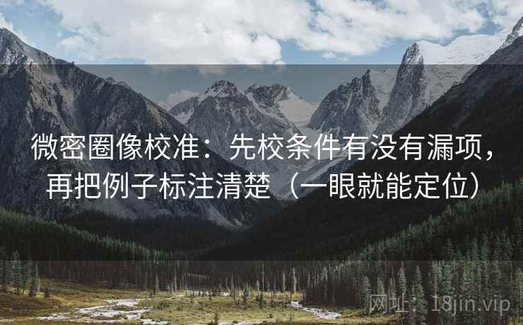微密圈像校准:先校条件有没有漏项,再把例子标注清楚(一眼就能定位) 微密圈像校准:先校条件有没有漏项,再把例子标注清楚(一眼就能定位)